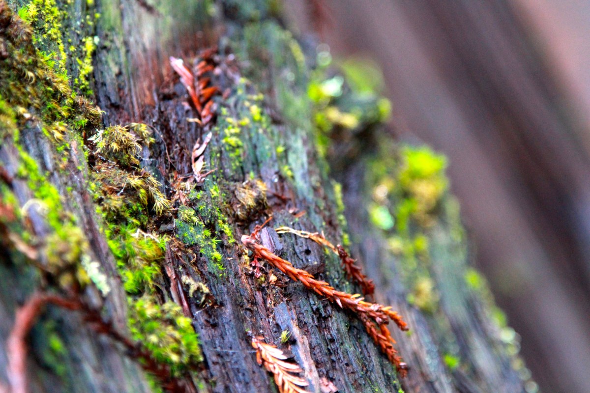 SPRING ON YOUR&nbsp;MAT